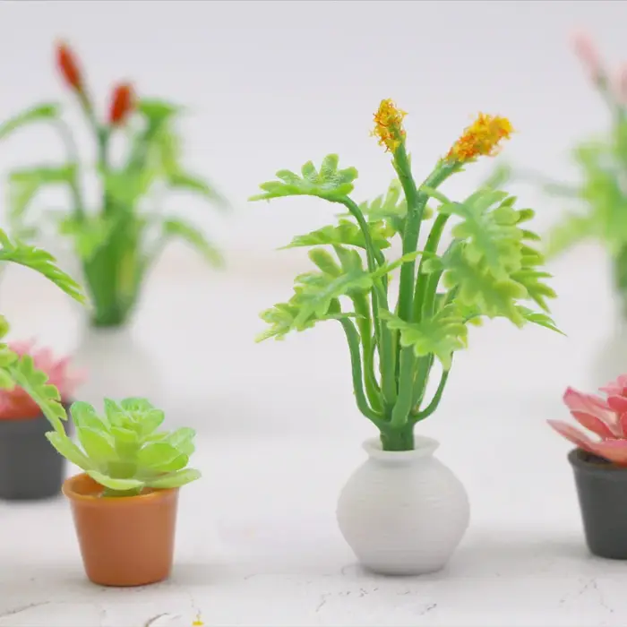 Mini simulation de plante succulente