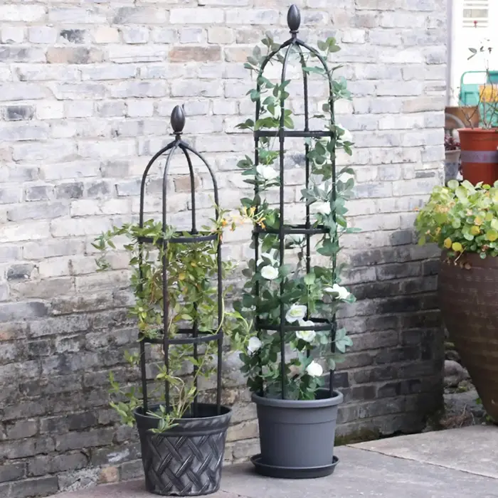 Support de Treillis Obélisque Antirouille pour Plantes Grimpantes