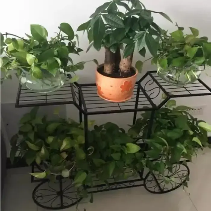 Grand Support de Plante en Métal à 6 Niveaux