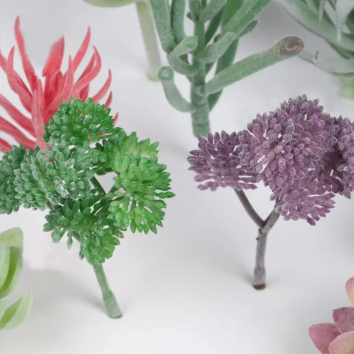 Plantes succulentes artificielles sans pot
