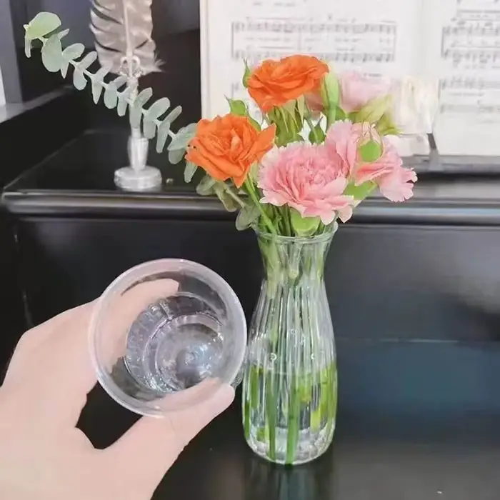 Vase à fleurs en plastique Transparent