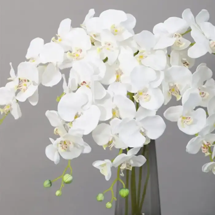 70 cm orchidée Phalaenopsis fausses fleurs