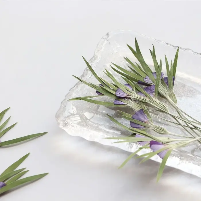 12 pièces, fleurs séchées naturelles d'Agrostemma Githigo pressées
