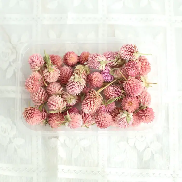 Gomphrena Globosa séchée pour la décoration intérieure, bougie parfumée bricolage, tranche d'avertis
