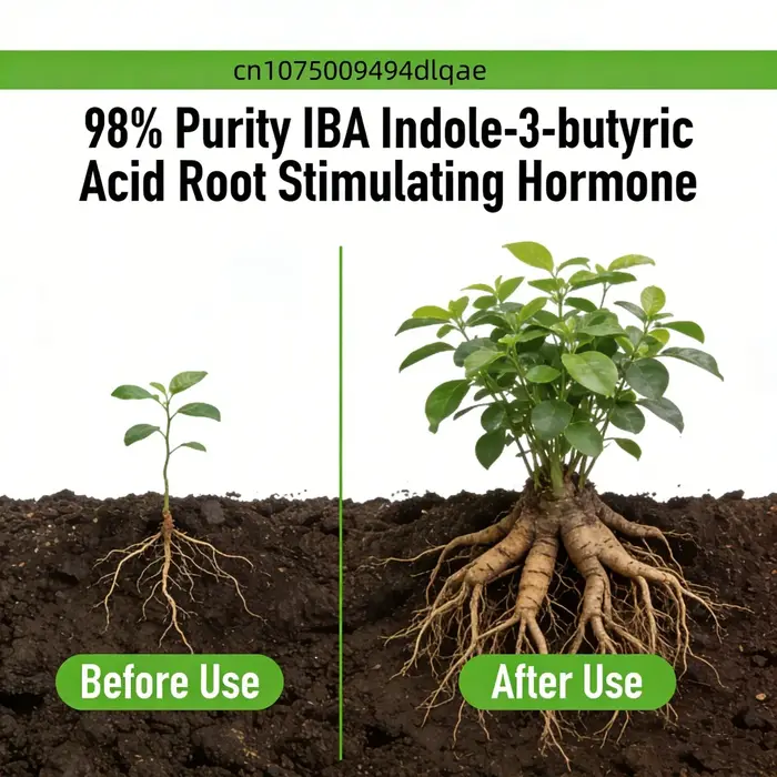 Poudre d'Enracinement à 98% de Pureté IBA Acide Indole-3-butyrique | Régulateur de croissance des plantes
