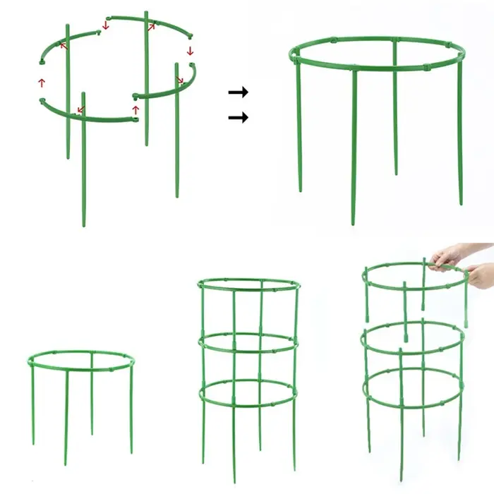 Support d'escalade de vigne verte