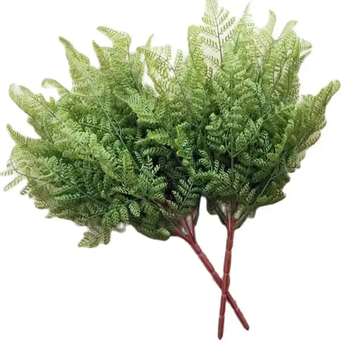 Bouquet de feuilles de fougère au toucher unique