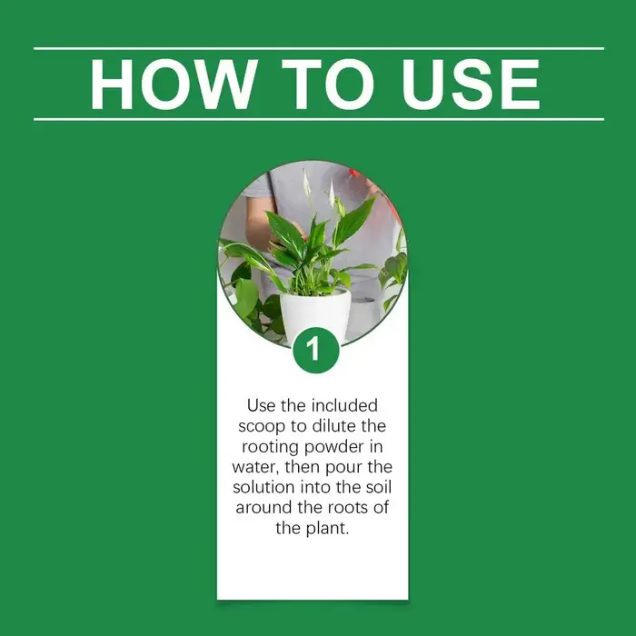 Poudre d'enracinement pour plantes
