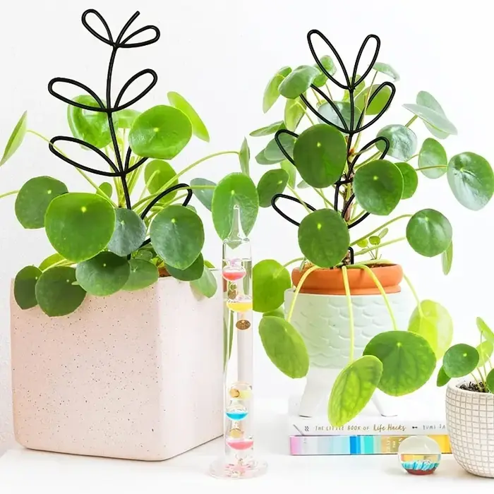 Support de plante en 3 parties