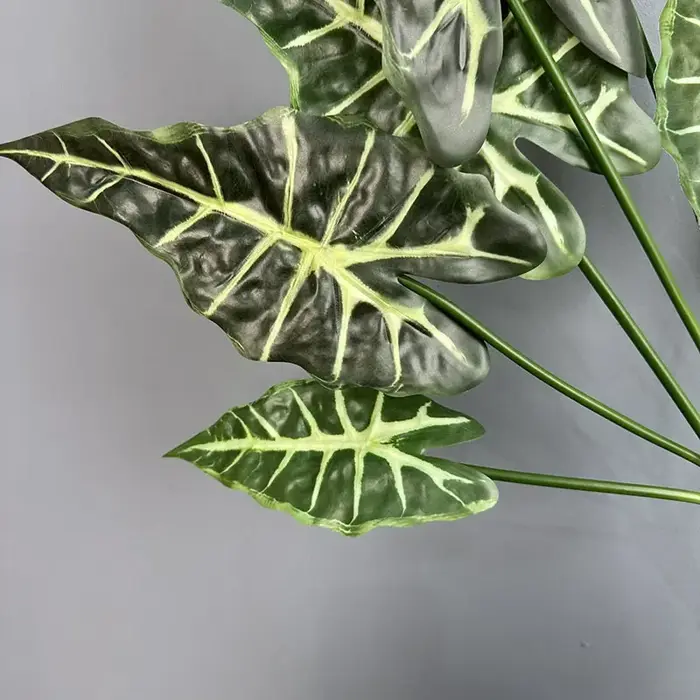 Simulation de plantes vertes Taro Levesf