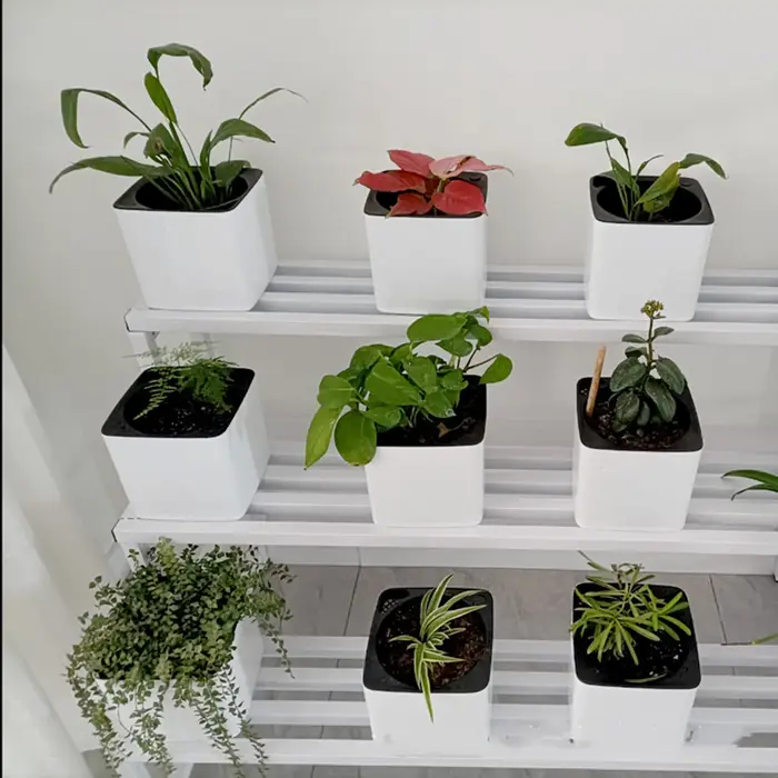 Jardinière à arrosage automatique