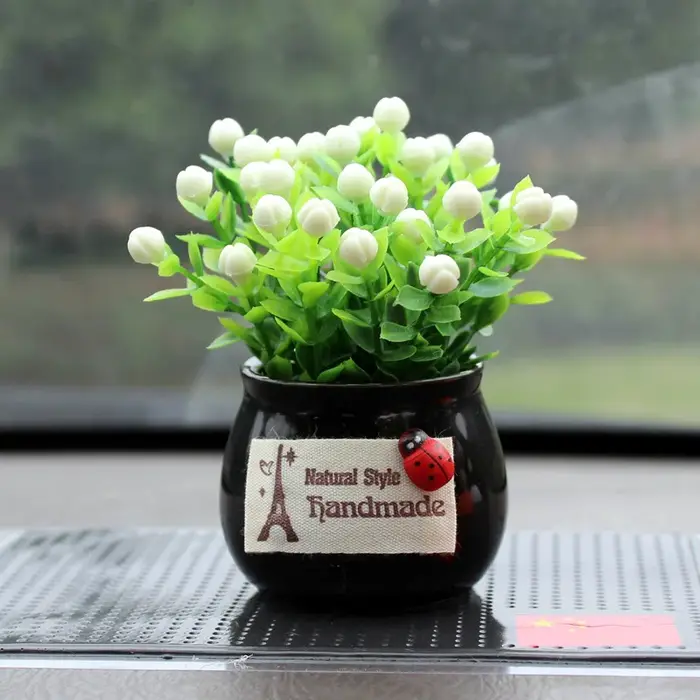 Plante porte-bonheur en pot