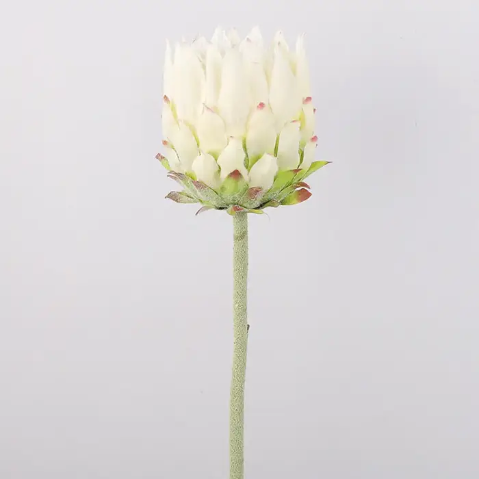Grande fleur artificielle artificielle de haute qualité, décoration de fleur d'empereur simulée, fle