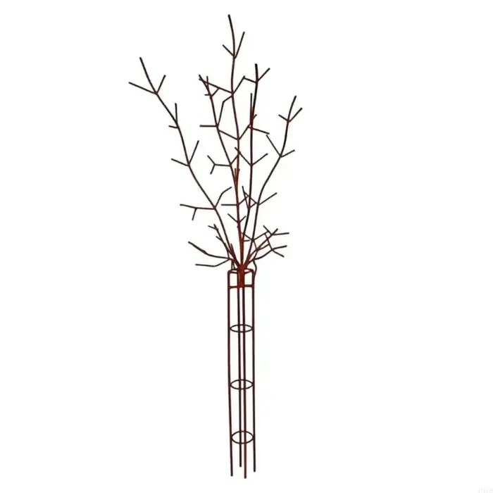 Support grimpant en fer pour croissance des fleurs, piquet jardin à branches décoratives 25x70 pour exposition cour,