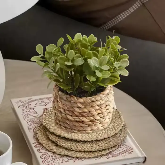 Plante en Pot petites fausses plantes