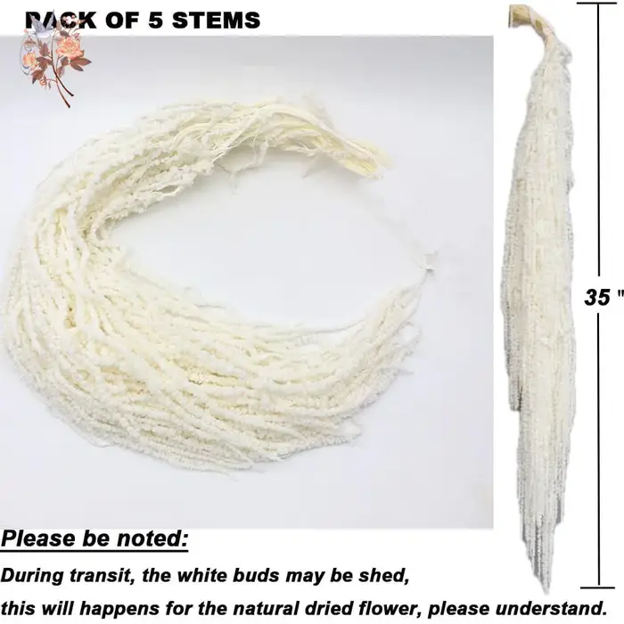 Fleur d'amaranthès suspendue séchée, 5 pièces, centres de table de mariage, structures de cérémonie, décoration d'arc, vrais amoureux blancs, ornements de larmes
