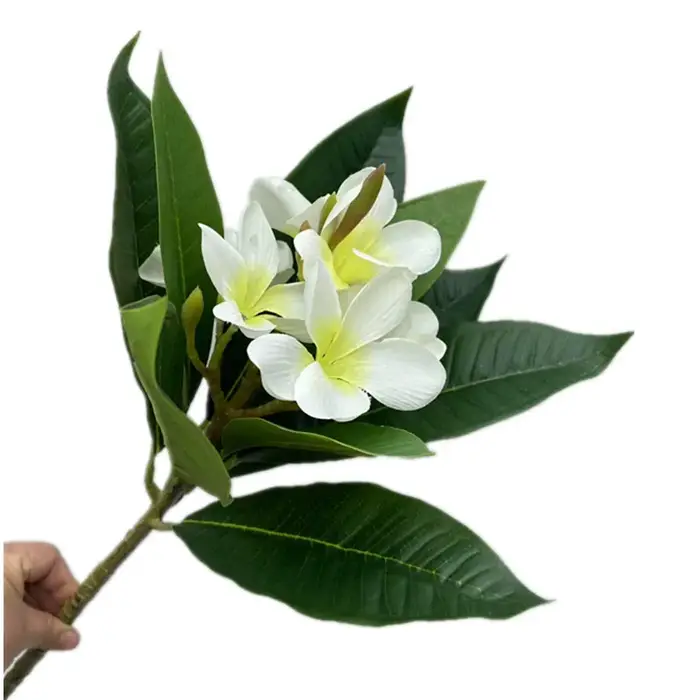 One Plumeria Rubra artificielle avec feuilles vertes au toucher réel