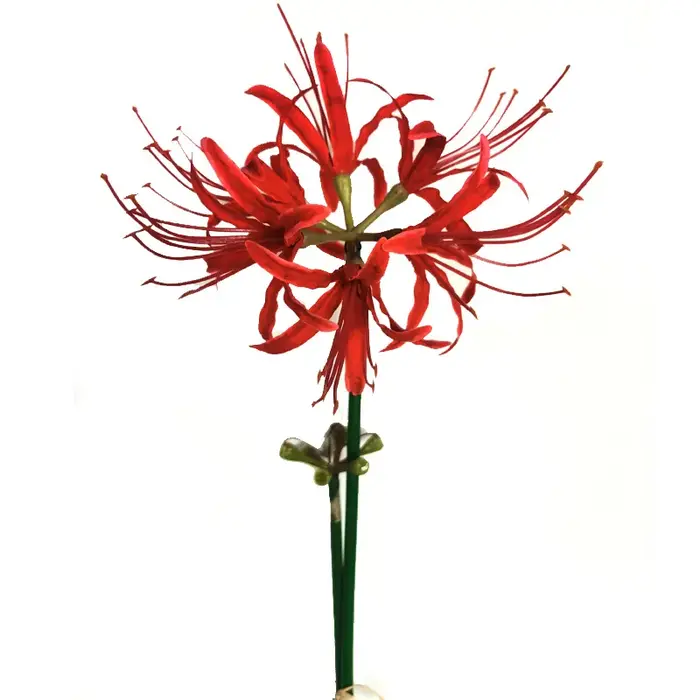 Fleur artificielle Lycoris RadiMiGarden pour la décoration intérieure