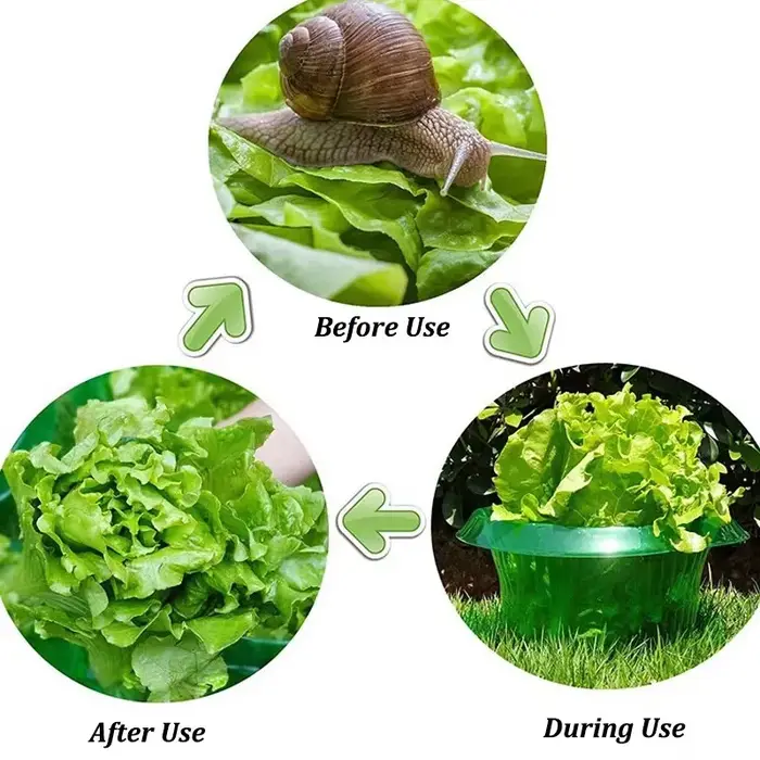 Protège-légumes réutilisables : Colliers anti-limaces et anti-vermicelles pour plantes de jardin