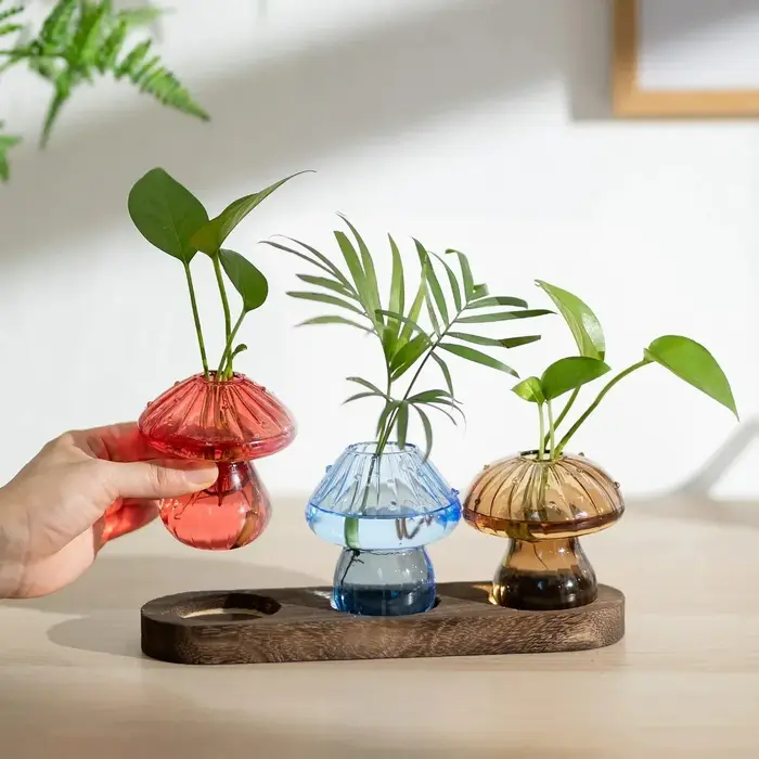 Vase de jardinière en verre de champignon avec Base en bois