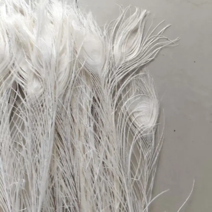 Vente en gros! Belles plumes d'oeil de paon blanc, décoration et célébration, 10 pièces, 25-30 cm, 1