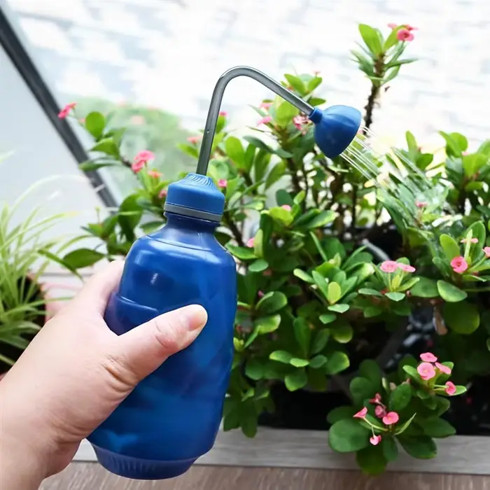 Arrosoir pour semis, petit arrosoir pour plantes de maison