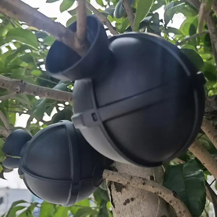 Boîte de bouturage pour plantes