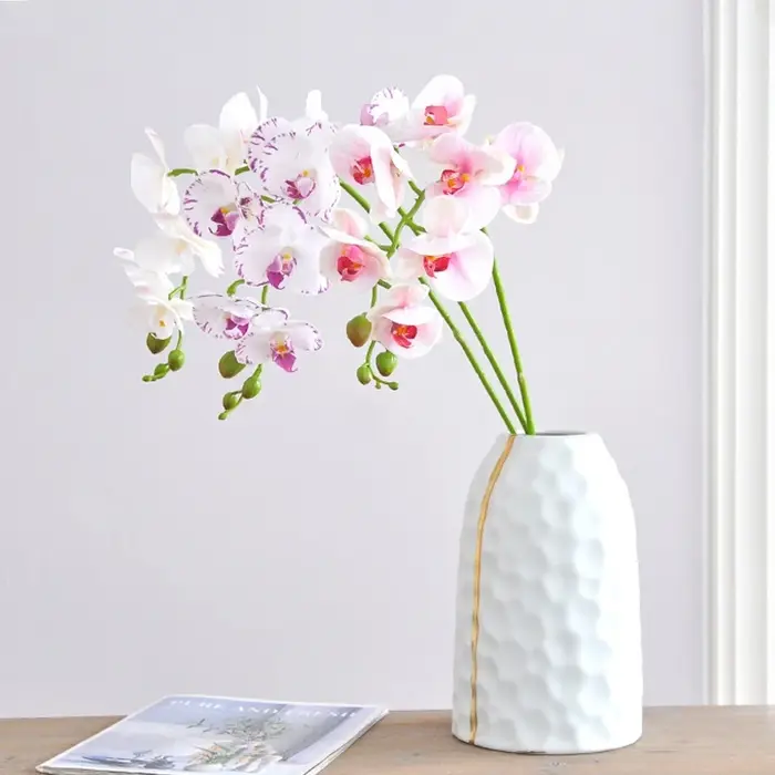Branche d'orchidée hydratante