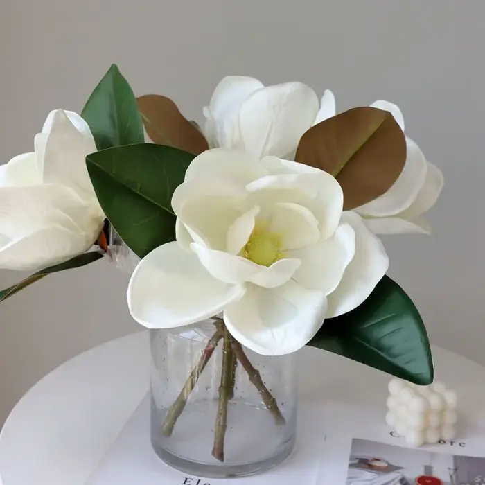 Grande fleur de magnolia blanc de haute qualité
