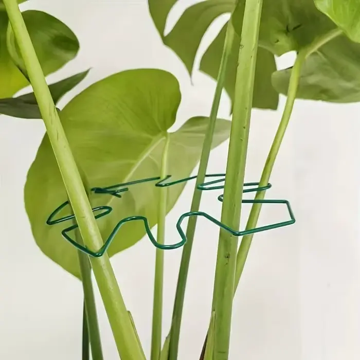 Stabilisateur de plantes