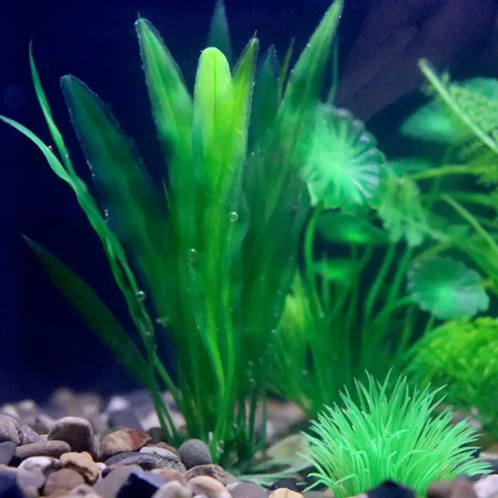 Plantes artificielles en plastique sous-marine pour aquarium