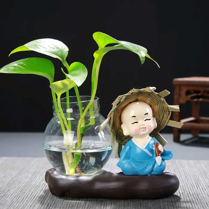 Vase en verre belle plante transparente Terrarium