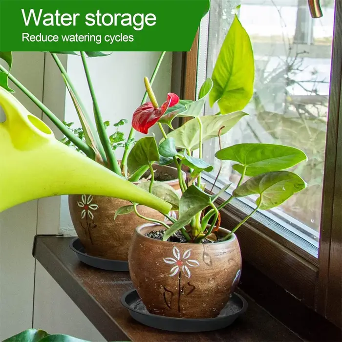 Soucoupes pour plantes de 6