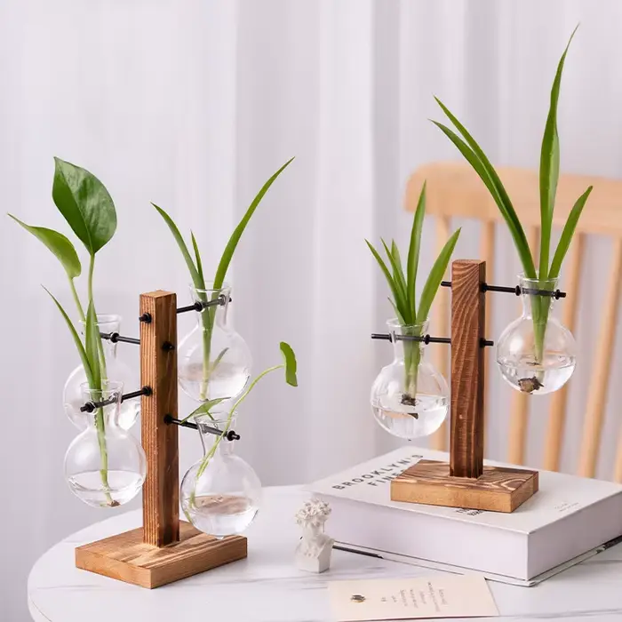 Vase à Plantes de Fleurs Vintage Terrarium