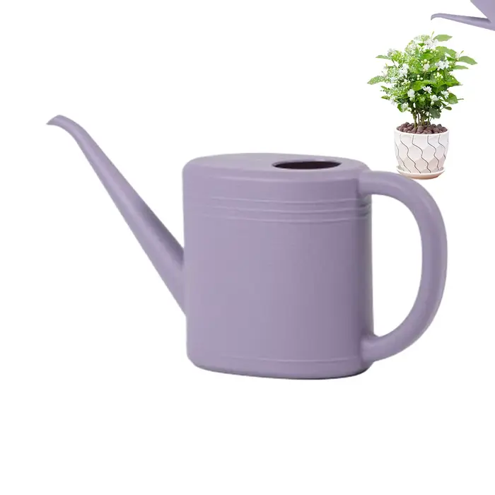Arrosoir pour plantes d'intérieur 1L