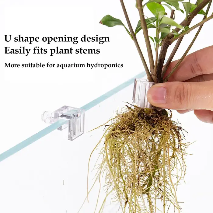 Lot de 6 supports pour plantes d'aquarium