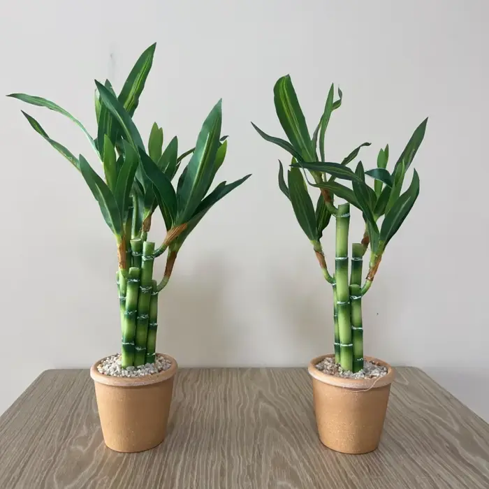 Plante artificielle en bambou porte-bonheur