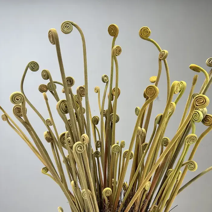 Nouvelles plantes artificielles de germes de fougère floquées pour la maison décor de Table de mariage fleur