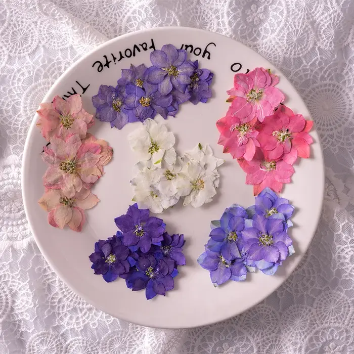 Fleurs de Gaura Lindheimeri pressées et séchées, 120 pièces, plantes sèches pour pendentif en résine époxy, fabrication de bijoux, accessoires artisanaux pour bricolage