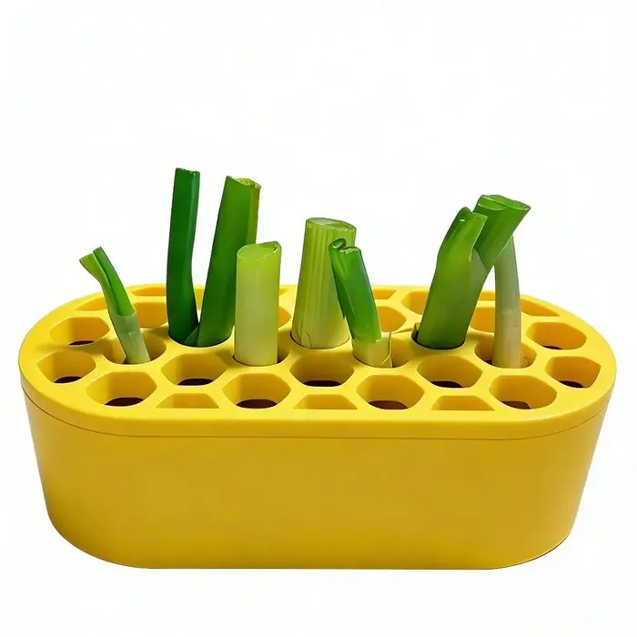 Pots de culture hydroponique multifonctionnels en plastique avec base de réservoir d'eau