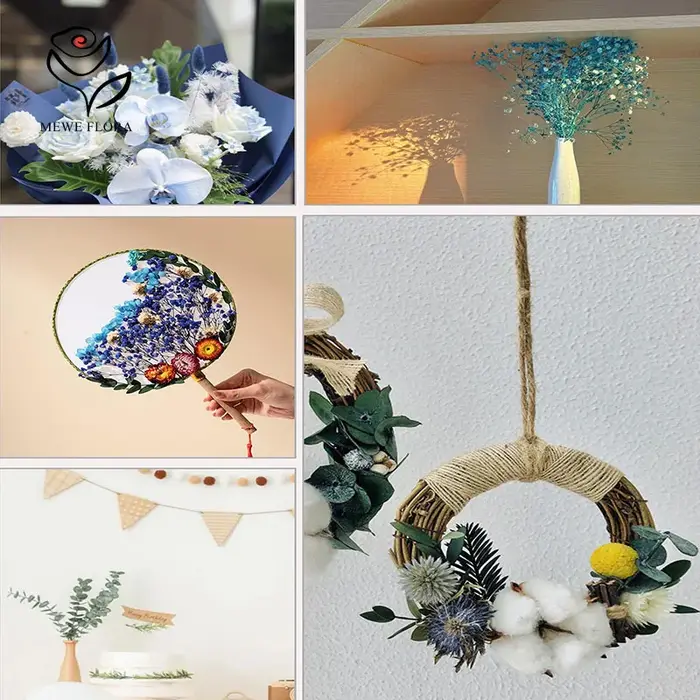 Boîte de fleurs séchées naturelles colorées mélangées