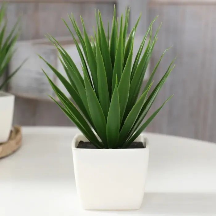 Simulation de plantes en pot