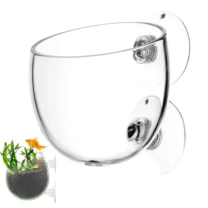 Pot de décoration pour aquarium, pot en verre pour plantes aquatiques avec support à ventouse, cylin