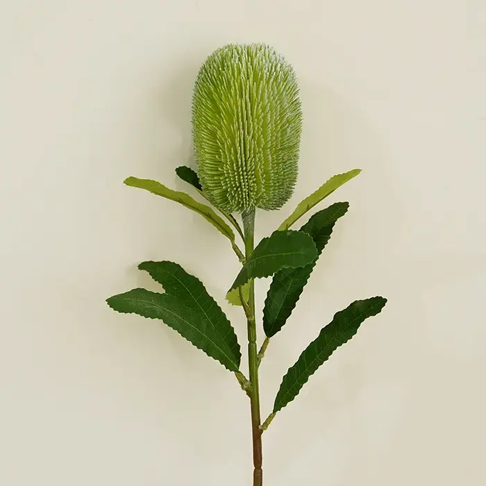 Flocage de fleurs artificielles, roi Protea, plantes vertes, fleur de mariage, fausse fleur monarque
