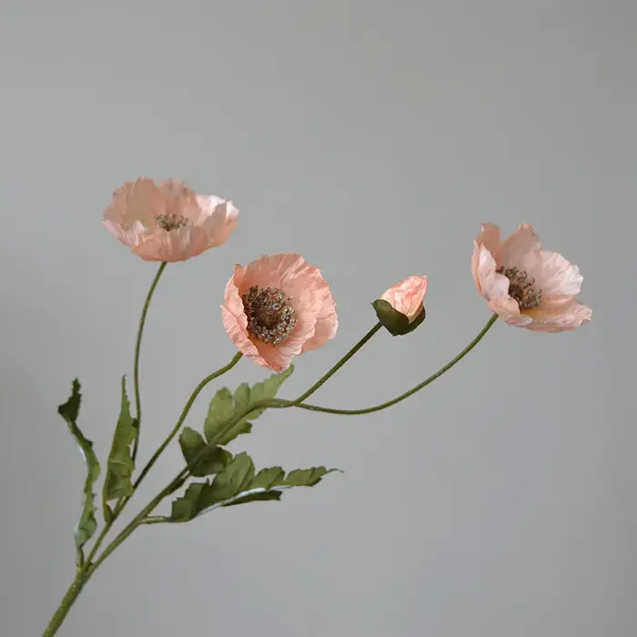 59M américain automne Vintage coquelicot fleur Tour Clap mains tenir fleurs photographie maison mariage salon