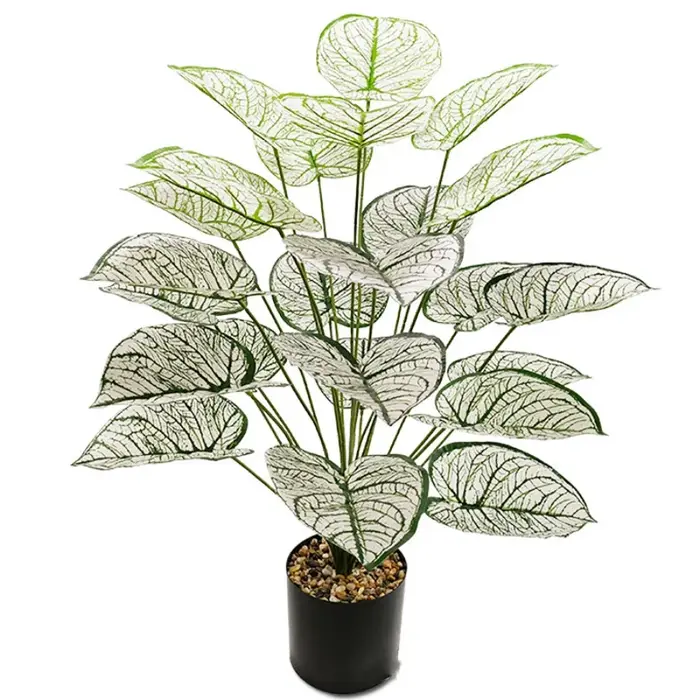 Plantes artificielles, feuille blanche et verte