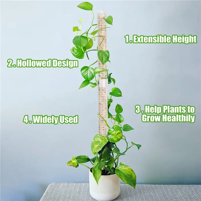 Colonne de support pour plantes grimpantes en mousse de sphagnum