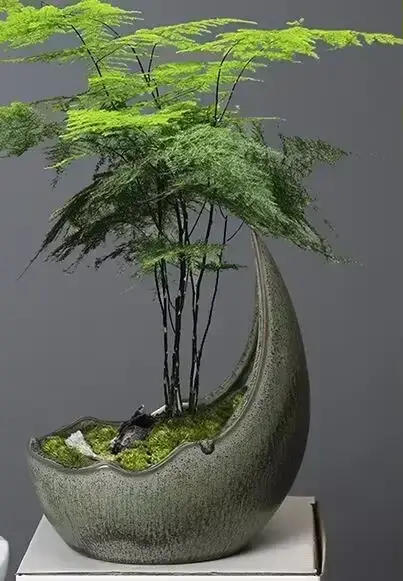 Pot de fleur en céramique en forme de corne de rhinocéros