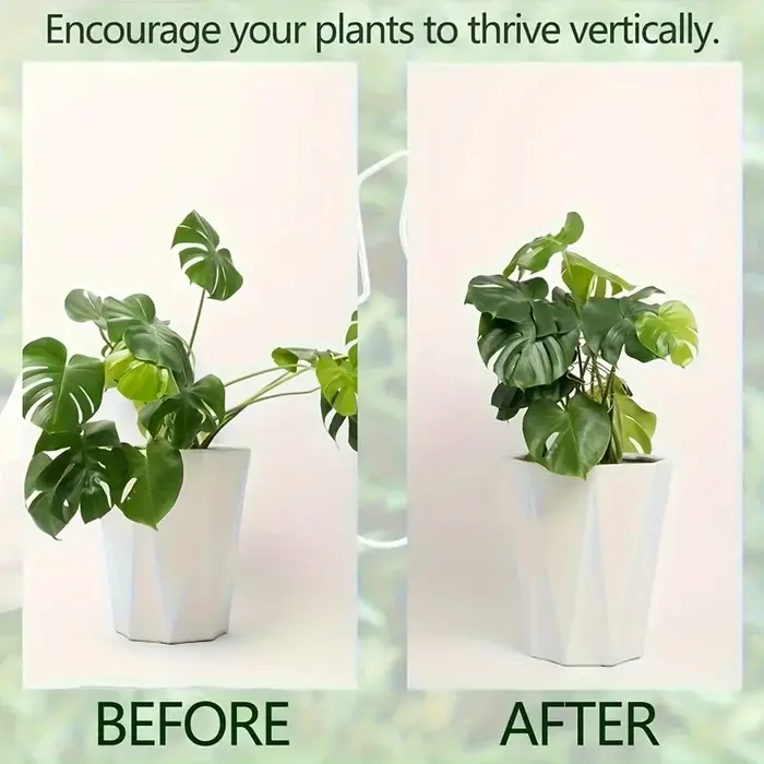 Support de plante stabilisateur