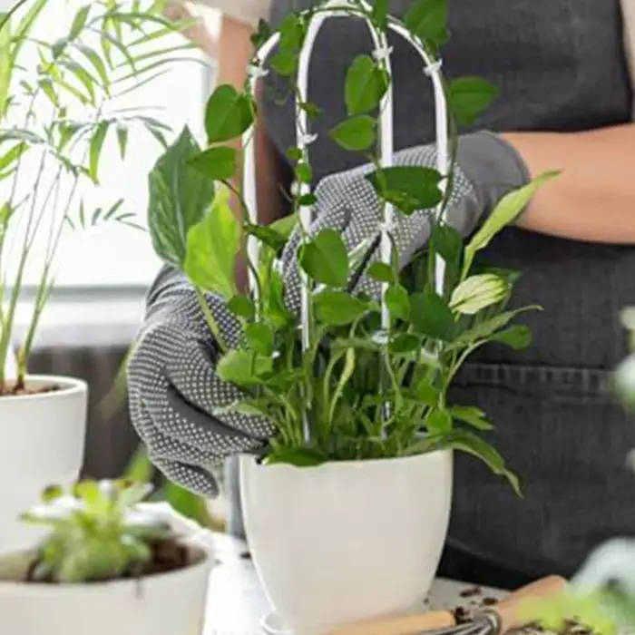 Support pour plantes en acrylique en forme de U